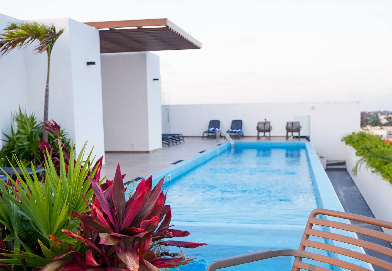 Estudio en Playa del Carmen - D314. Studio Sensai Downtown.