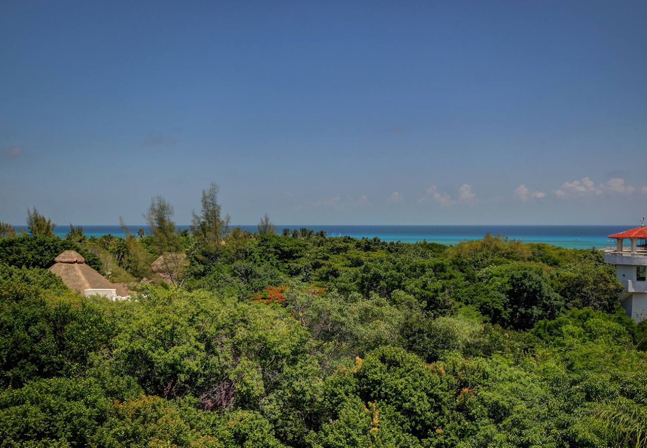 Apartahotel en Playa del Carmen - R102. Riviera Maya Suites 2Rec Vista Jardin.