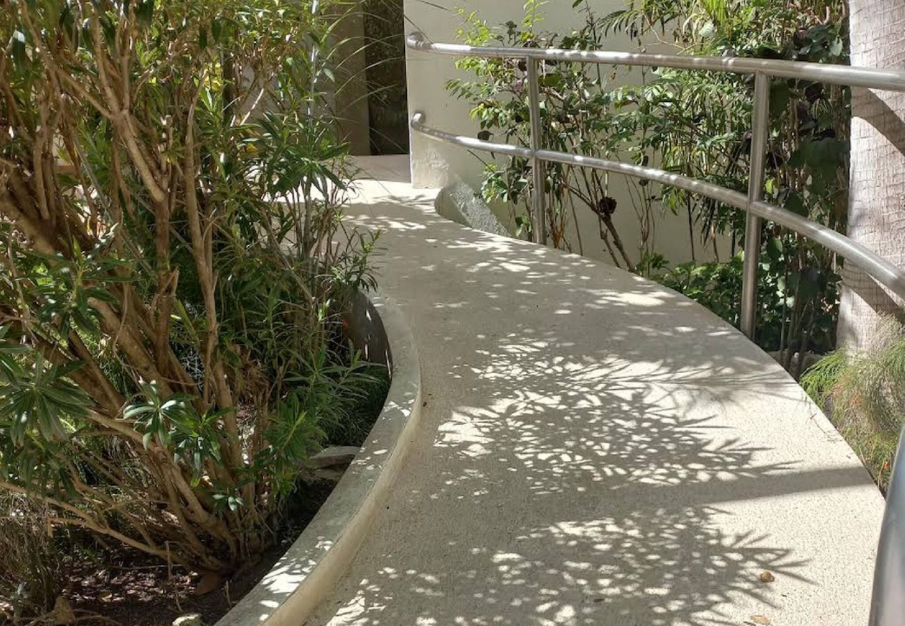 Apartahotel en Playa del Carmen - P102. Palmar del sol 1Rec Vista Jardin. 