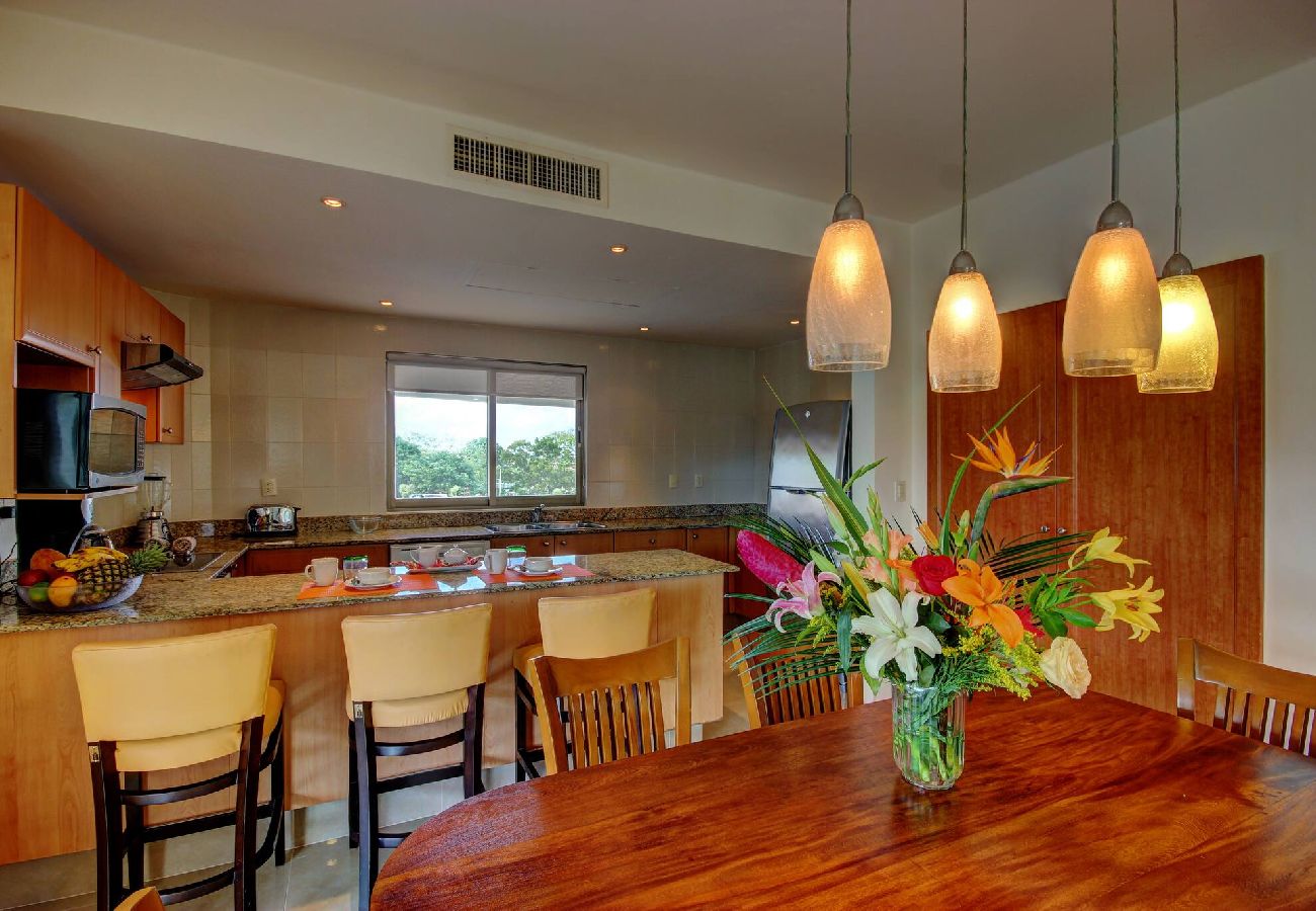 Apartment in Playa del Carmen - P305. Palmar del Sol Penthouse 2Rec Vista 5ta Ave.
