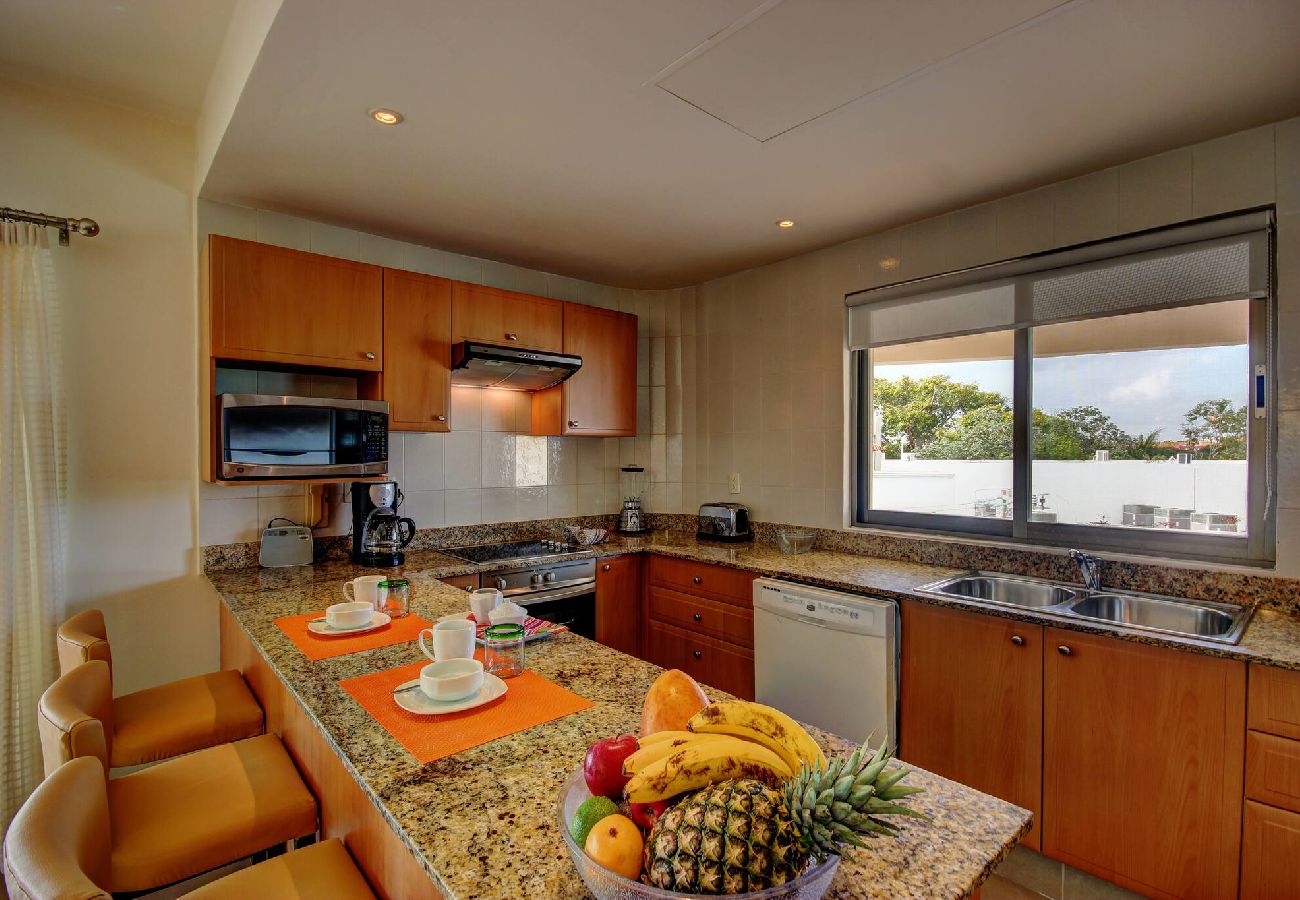 Apartment in Playa del Carmen - P305. Palmar del Sol Penthouse 2Rec Vista 5ta Ave.