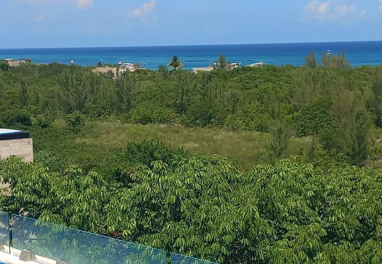 Studio in Playa del Carmen - GR50. Studio Grand Fifty Suites.