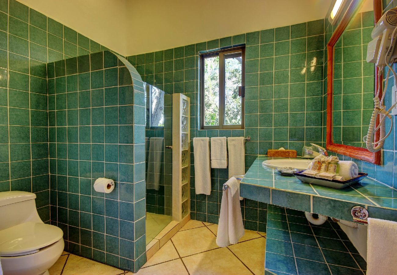 House in Playa del Carmen - GV. Casa Villa  4Rec Vista Jardin
