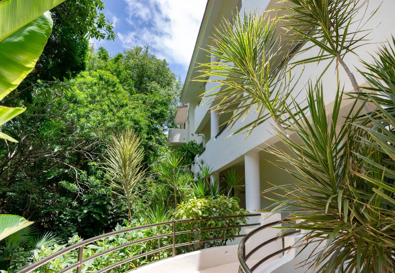 Rent by room in Playa del Carmen - R107. Standard Room King con Balcón.
