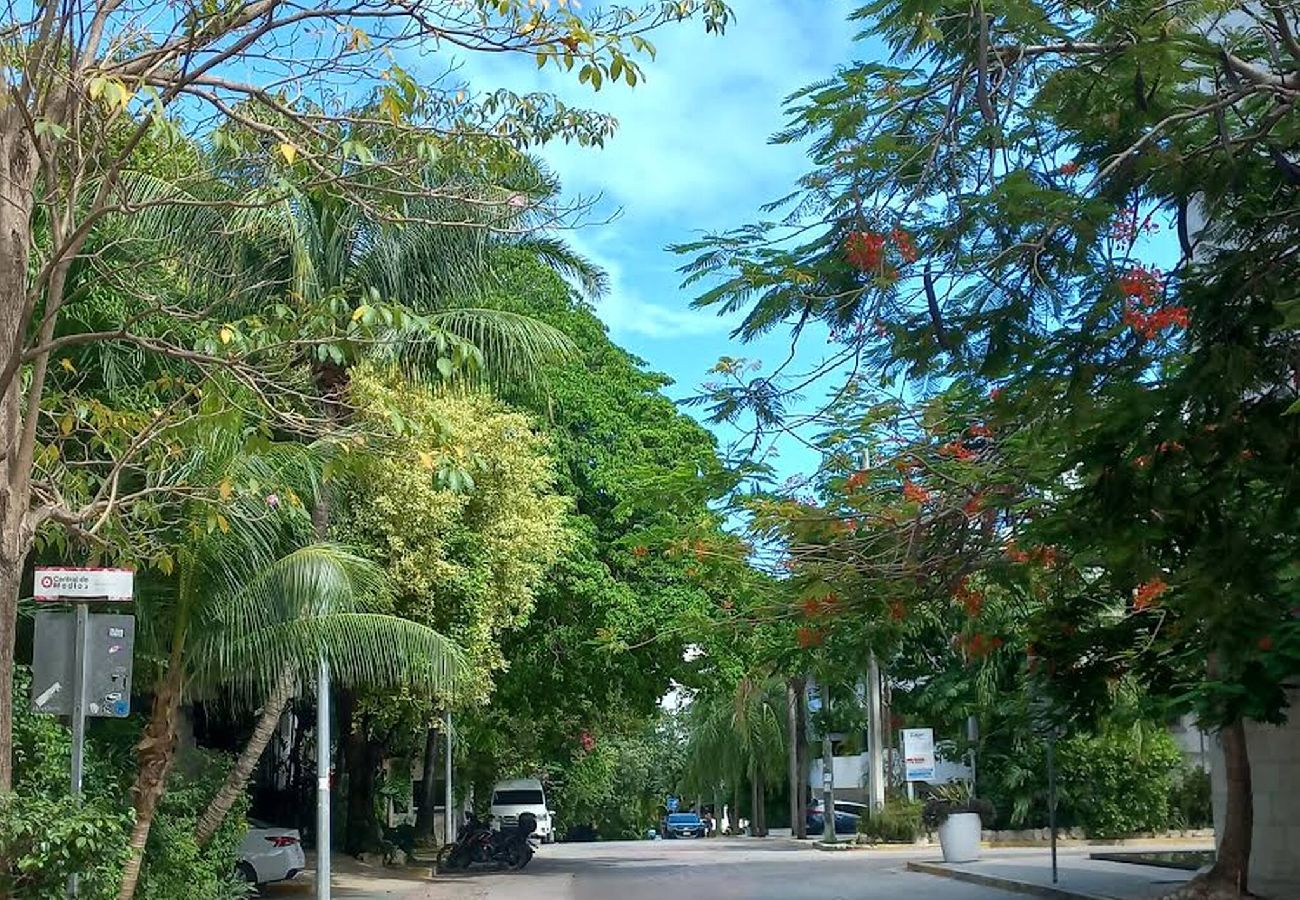 Condohotel in Playa del Carmen - P102. Palmar del sol 1Rec Vista Jardin. 