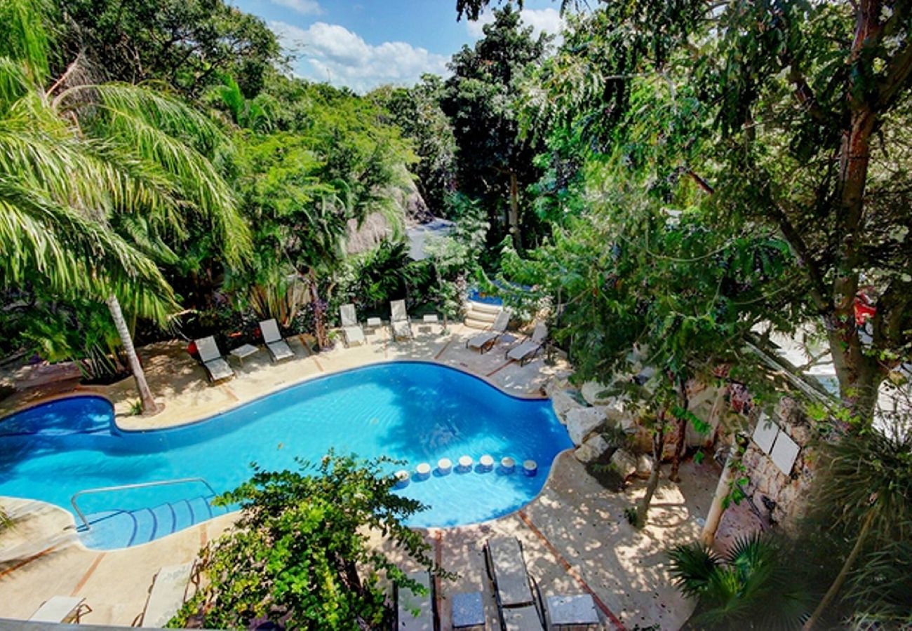 Rent by room in Playa del Carmen - R105. Standard Room King.