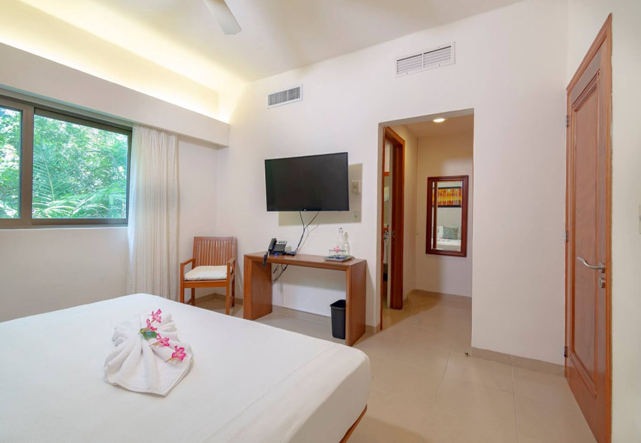 Rent by room in Playa del Carmen - R105. Standard Room King.